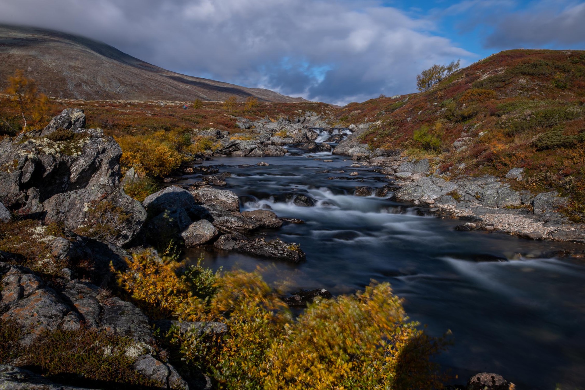 Fjellbekk på Dovrefjell