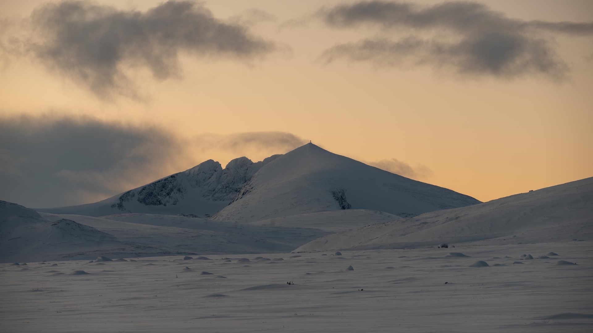 Snøhetta i kveldslys