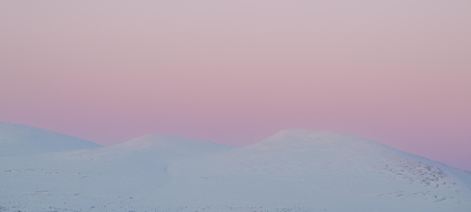 Vinterkveld på Dovrefjell
