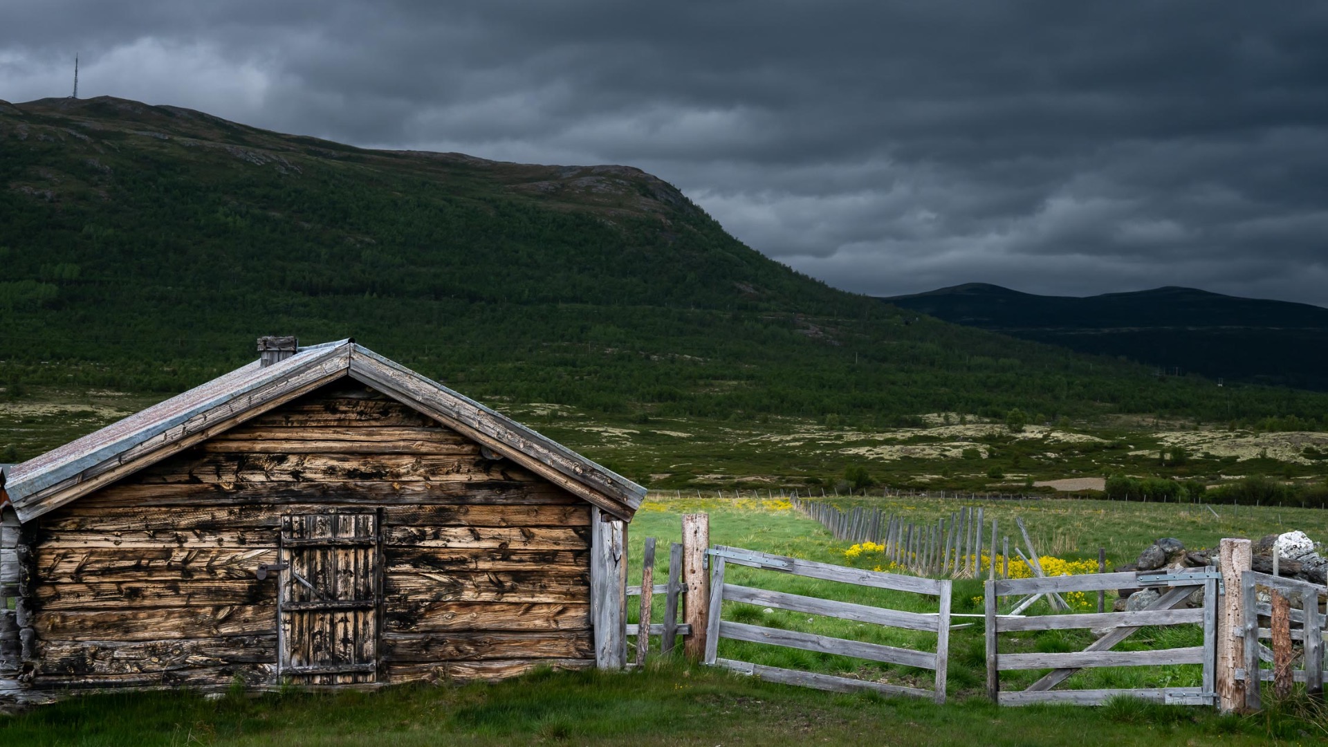 Mørke skyer over Dovrefjell