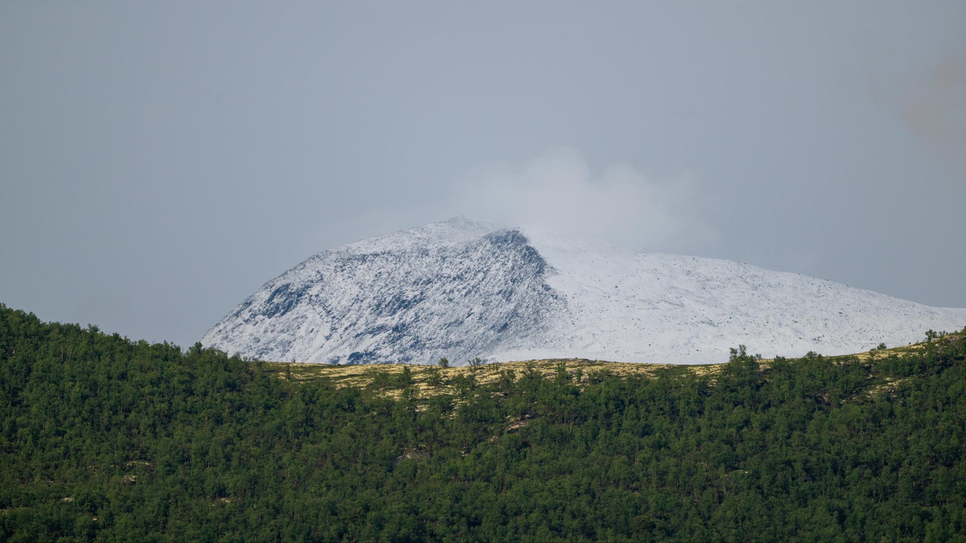 Kontraster mellom sommer og vinter