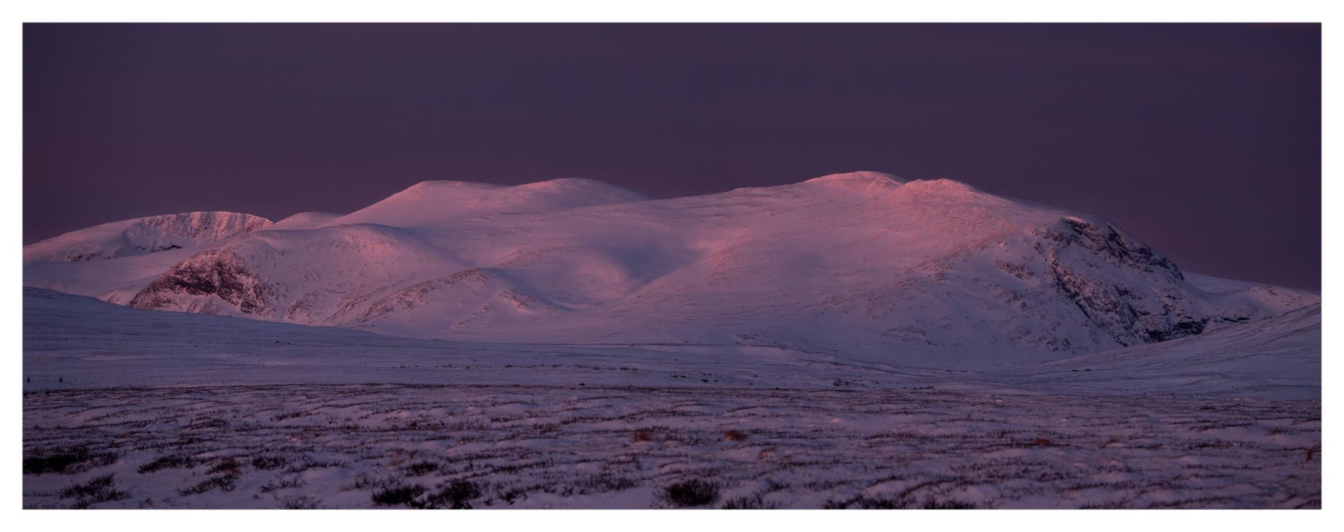 Blåtime, Dovrefjell